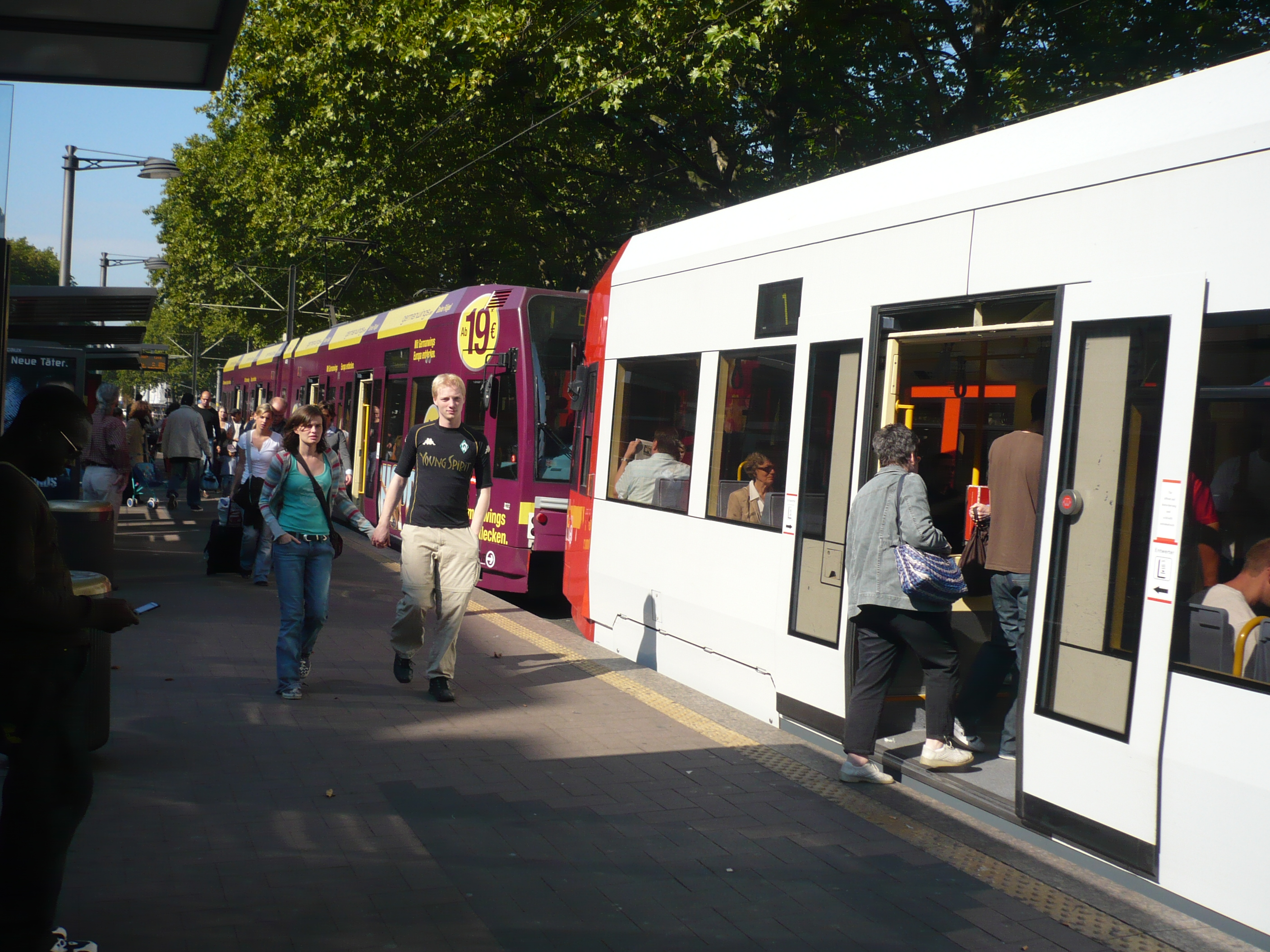 Cologne trams photo