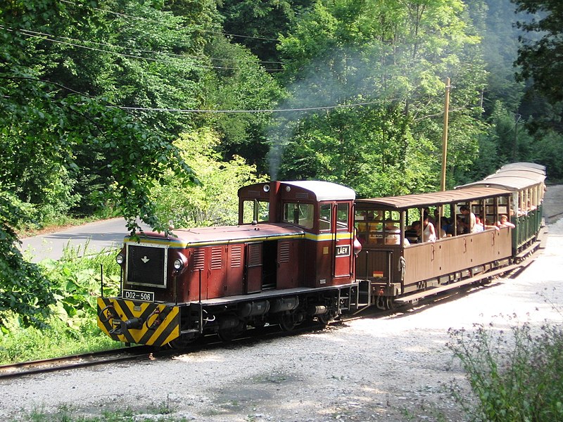 Miskolc forest train photo